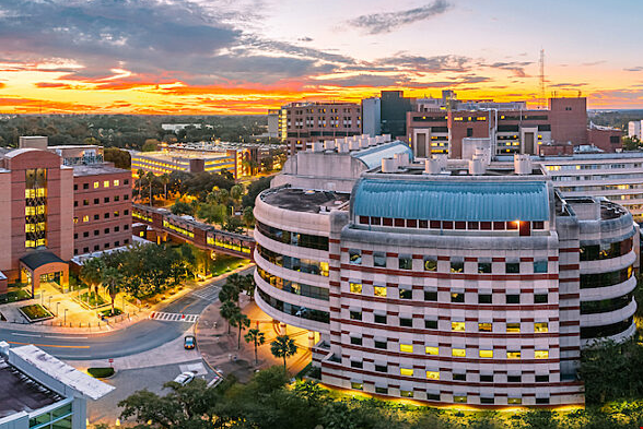 佛罗里达大学算美国好大学吗
