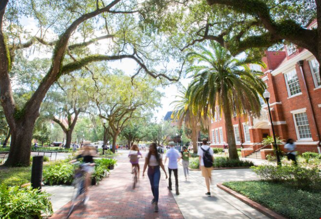 佛罗里达大学算美国好大学吗