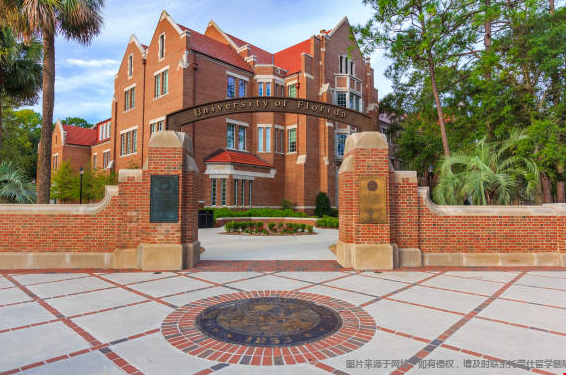 佛罗里达大学算美国好大学吗