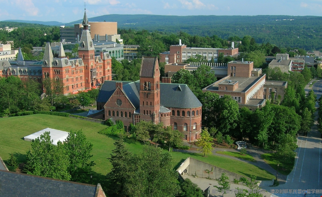 康奈尔大学什么专业强