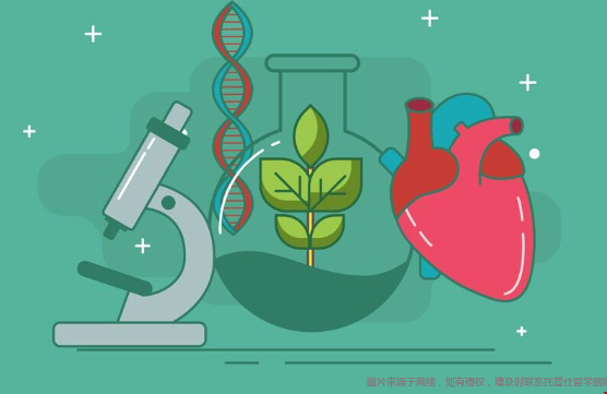 美国大学生物学专业就业前景