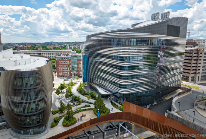 美国东北大学本科专业推荐