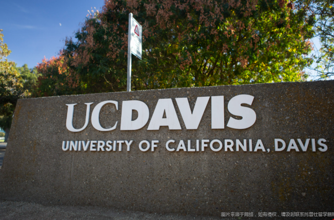加州戴维斯大学研究生怎么样