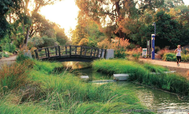 哪些美国大学的毕业证最有含金量