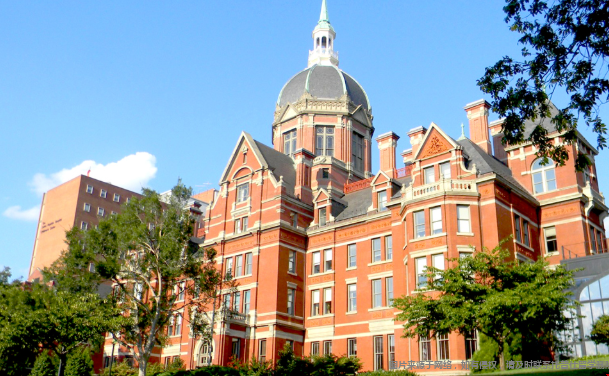 JHU ITGL项目就业前景 JHU ITGL项目就业前景