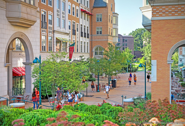 WashU录取的中国学生多吗