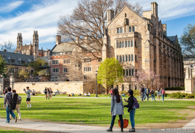 美本申请选什么专业