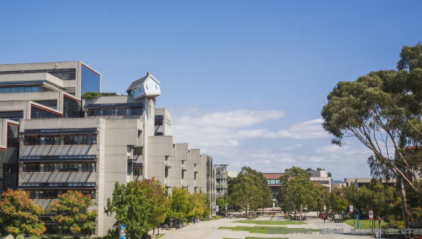 最好录的美国名校