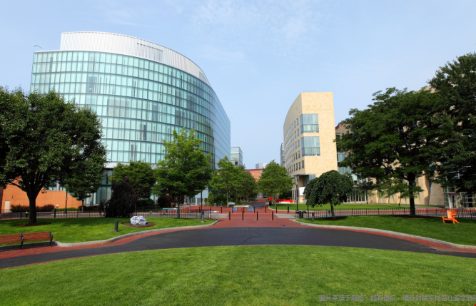 美国东北大学相当于国内什么大学