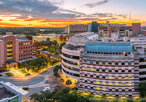佛罗里达大学录取偏好