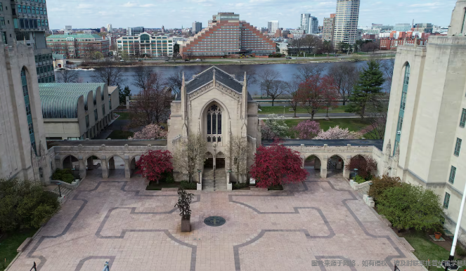 波士顿大学本科含金量最高的专业 波士顿大学本科含金量最高的专业