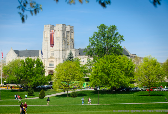 弗吉尼亚理工大学本科实力