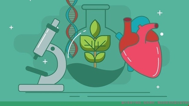 美国本科生物学专业.png 生物学.png