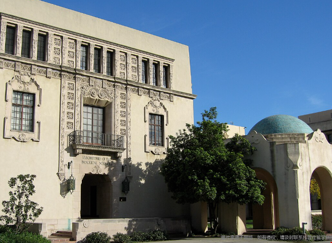 加州理工学院公布2029届新生班级数据