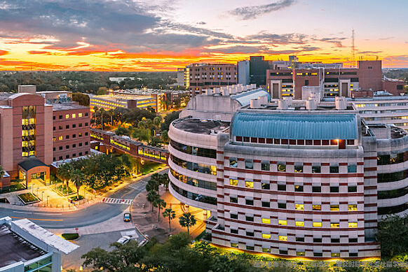 佛罗里达大学研究生最好申请的专业