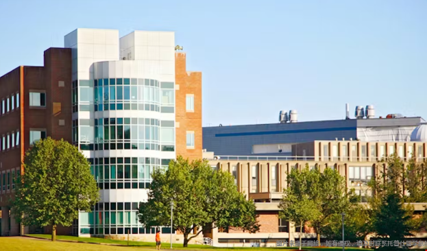 如何申请布兰迪斯大学本科 如何申请布兰迪斯大学本科