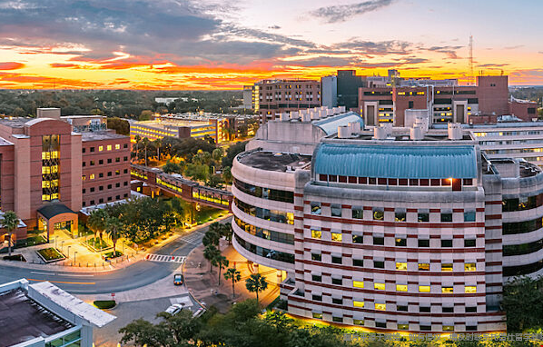 佛罗里达大学本科录取难度