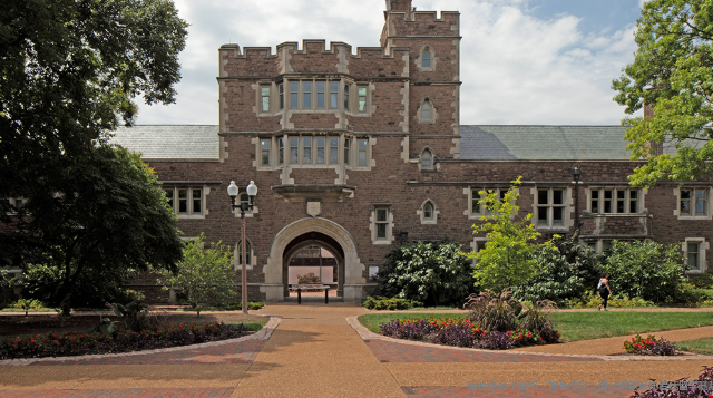 圣路易斯华盛顿大学全美排名