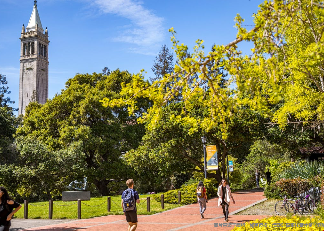 加州系大学2026年美国排名