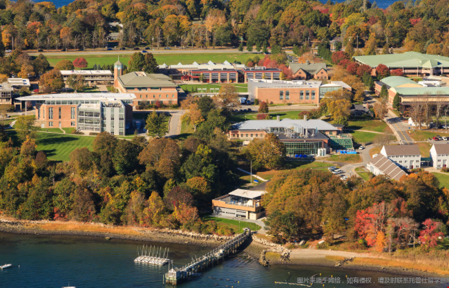 为什么美国本科商科不细分专业 为什么美国本科商科不细分专业