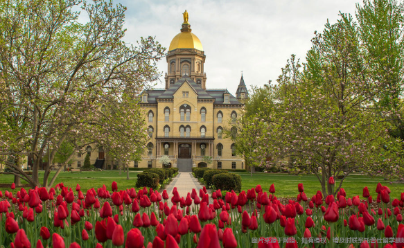 圣母大学在美国什么档次
