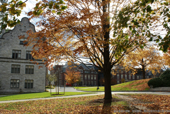 美国哪些文理学院值得重点关注
