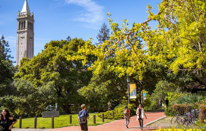 美国哪些公立大学实力最强