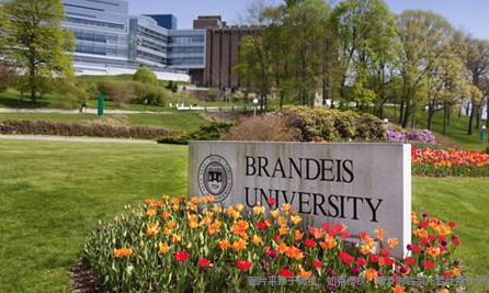 布兰迪斯大学.png 布兰迪斯大学1.png