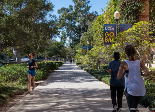 加州大学洛杉矶分校量化经济学硕士介绍 加州大学洛杉矶分校量化经济学硕士介绍