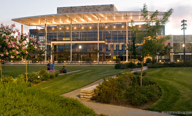 加州大学戴维斯分校王牌专业