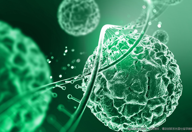 美国有哪些生物类相关专业