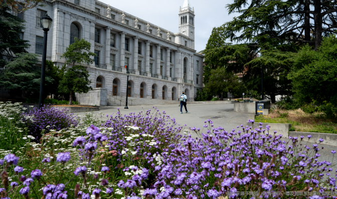 加州大学伯克利分校商学院有多牛