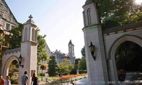 综排低但商科很强的美国大学