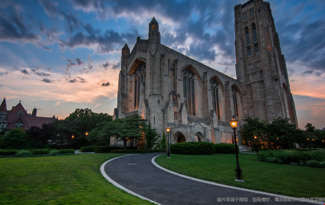 美国MiM管理学硕士就业前景
