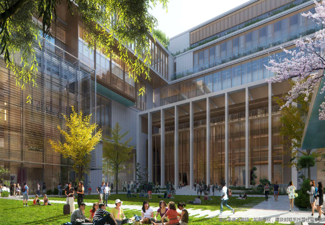 纽约大学会计专业在哪个学院