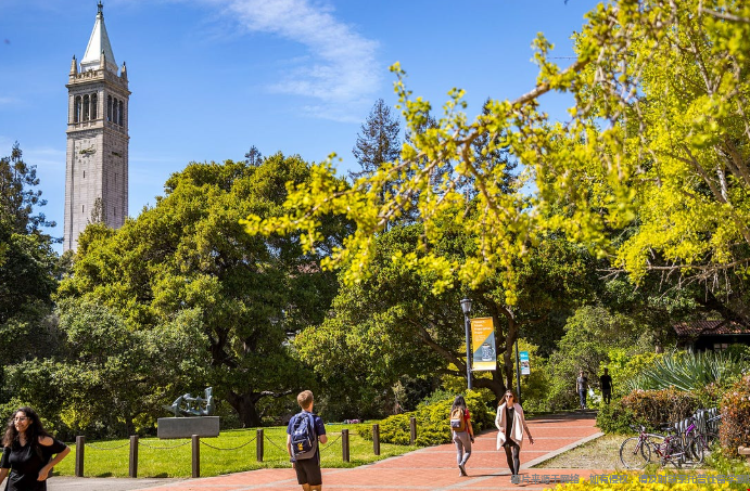 加州伯克利分校本科申请难度