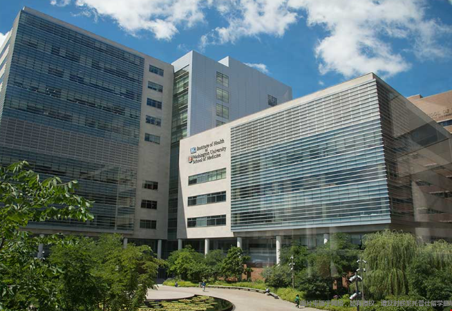 圣路易斯华盛顿大学生物医学工程硕士含金量 圣路易斯华盛顿大学生物医学工程硕士含金量