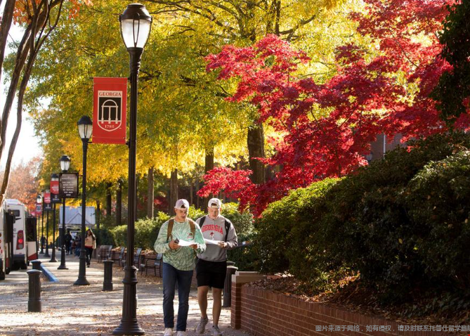 佐治亚大学2026Fall早申录取数据 佐治亚大学2026Fall早申录取数据