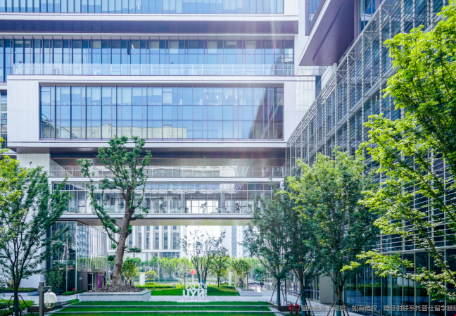 纽约大学会计硕士含金量