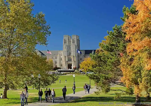 弗吉尼亚理工本科留学费用