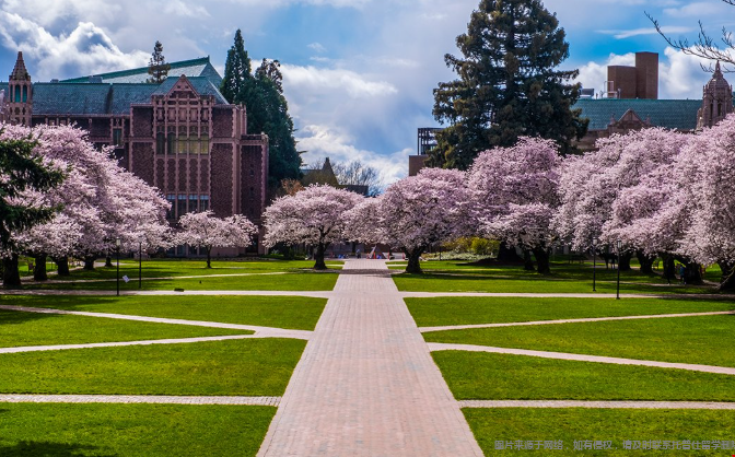 西雅图华盛顿大学生物统计学专业怎么样