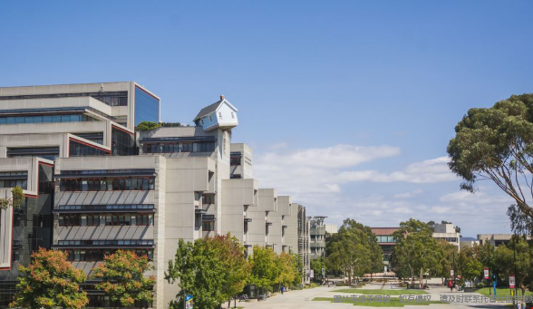 美本申请如何定专业方向 美本申请如何定专业方向