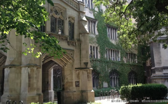 不定专业对美本申请有什么影响