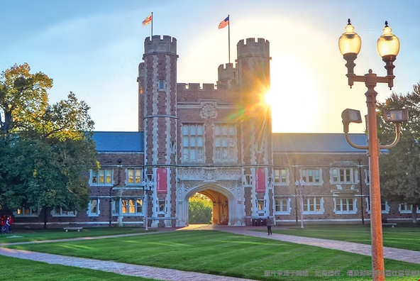 2029届WashU新生数据公布