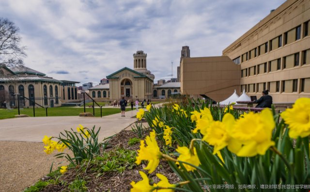 美国哪些大学可以让你找到好工作