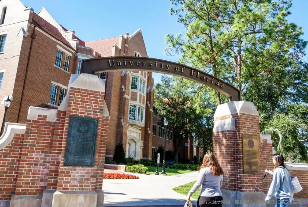 佛罗里达大学最好的专业