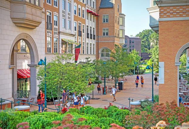 圣路易斯华盛顿大学LLM申请条件