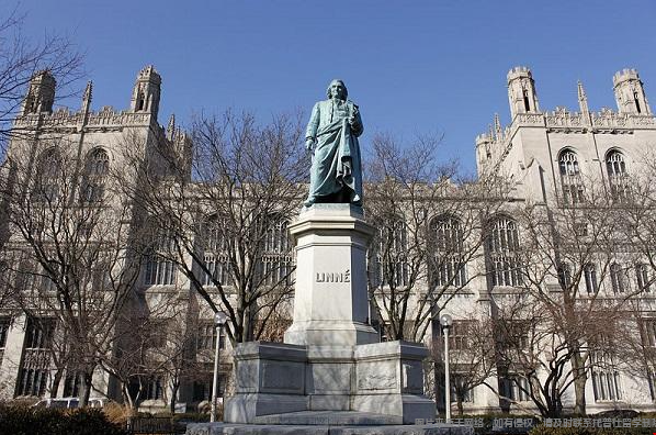 芝加哥大学2.png