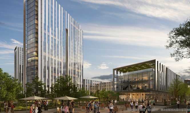 申请加州大学活动描述该怎么填