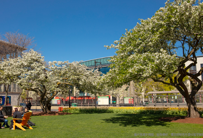 就业服务做得好的美国大学
